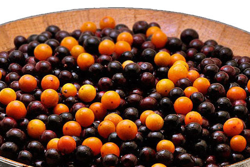 Carib Cultura Tarts, Vegan (6 flavors)